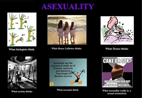 asexual memes|asexual arachnid (@asexual.